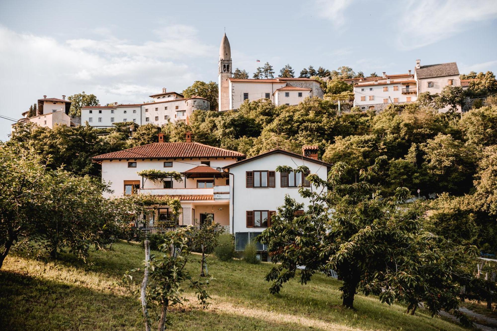 Vina Kobal, Kobal Family Estate Lägenhet Štanjel Exteriör bild